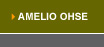 Amelio Occupational Health Services Environment