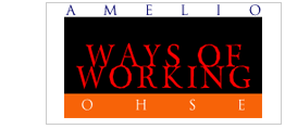 AMELIO - Ways of Working OHSE ; ISO 14001 environment ; OHSAS 18001 - Occupational health safety ; Industrial Hygiene and Corporate Health Management ; Audits / Inspections