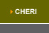CHERI-Child Health Education Reformative Integrated Services
