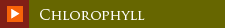 Chlorophyll